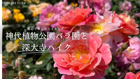 都心で楽しくハイキング！